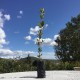 Lot de 5 chênes verts truffiers melanosporum « SAC VILLA FARESE » - Villa Farese